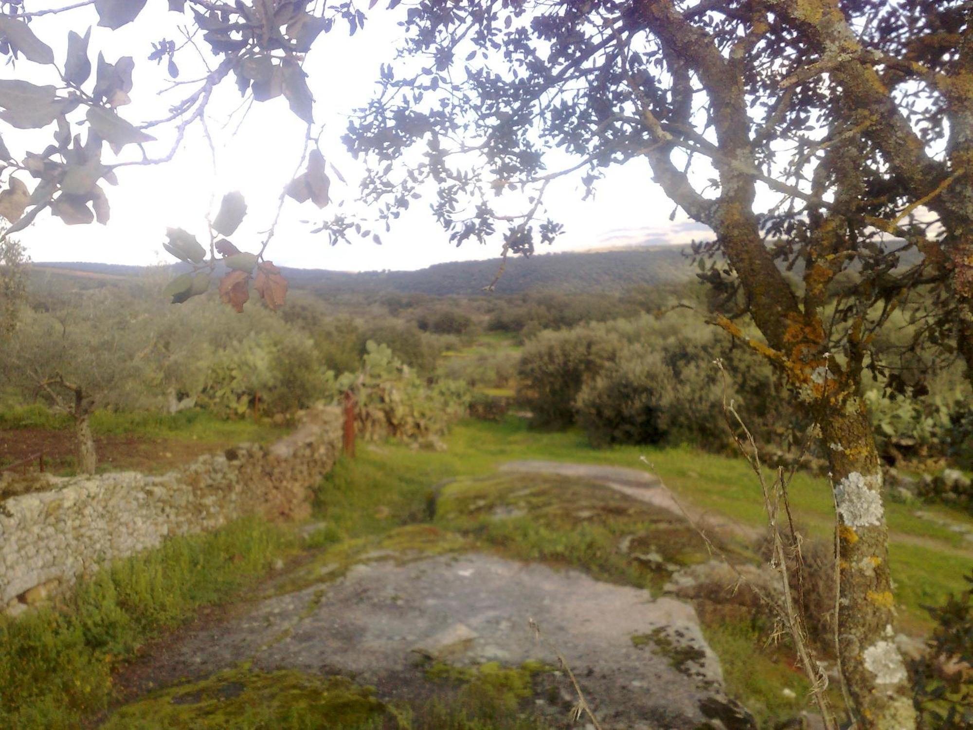 Apartamentos El Jardin Del Poeta Guijo de Granadilla المظهر الخارجي الصورة
