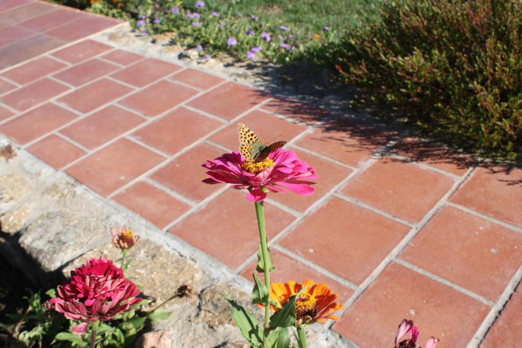 Apartamentos El Jardin Del Poeta Guijo de Granadilla المظهر الخارجي الصورة