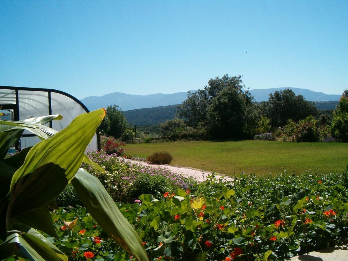 Apartamentos El Jardin Del Poeta Guijo de Granadilla المظهر الخارجي الصورة